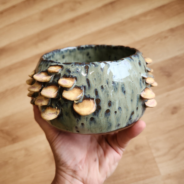 Lichen Green Fungus Pot - handbuilt - one of a kind