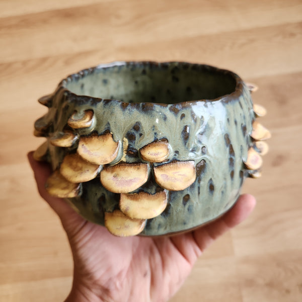 Lichen Green Fungus Pot - handbuilt - one of a kind