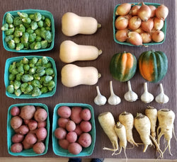 4-week CSA Extension Share - Oct 25 to Nov 15 - with optional Thanksgiving Box add-on for Nov 22 - all fresh produce grown by us.