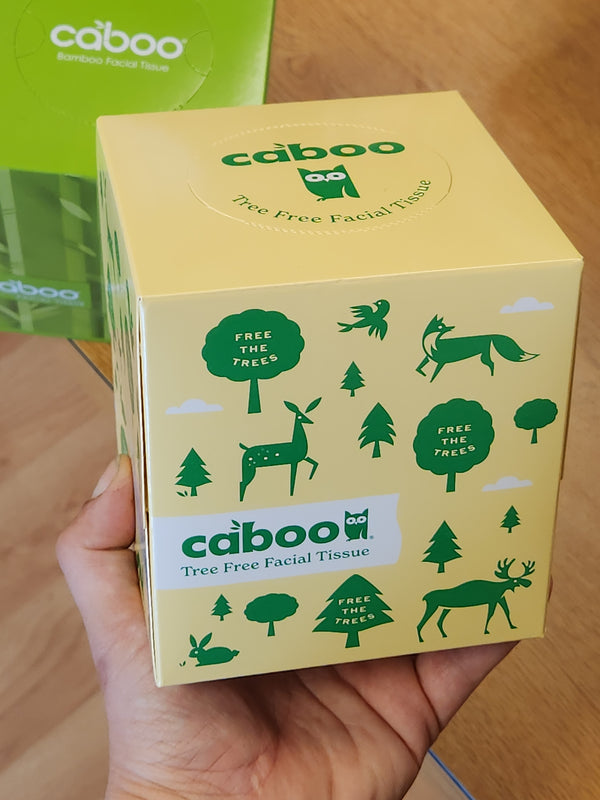 Caboo Facial Tissue - Bamboo + Sugar Cane - 60 tissues