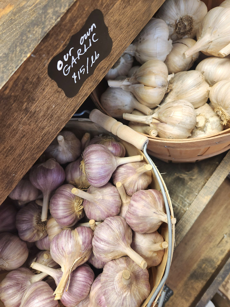 SOLD OUT - Thanksgiving Storage Veggies Box - Pickup starts Fri. Nov 22 - Double-sized CSA Box, 1 1/4 bushels of fresh produce grown by us.