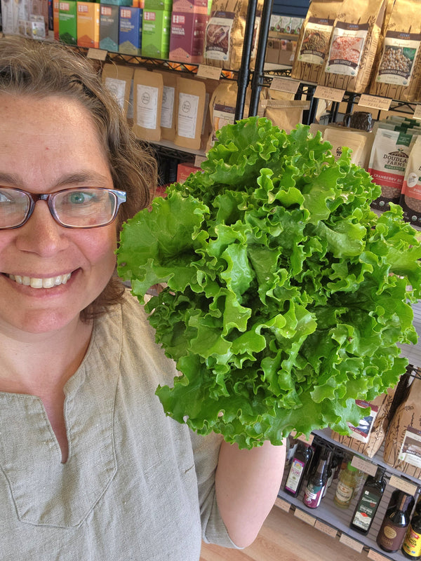 Extra CSA Box for JUNE 6, 2025 For Pickup Fri/Sat/Sun - 3/4 bushel box of fresh produce grown by us.