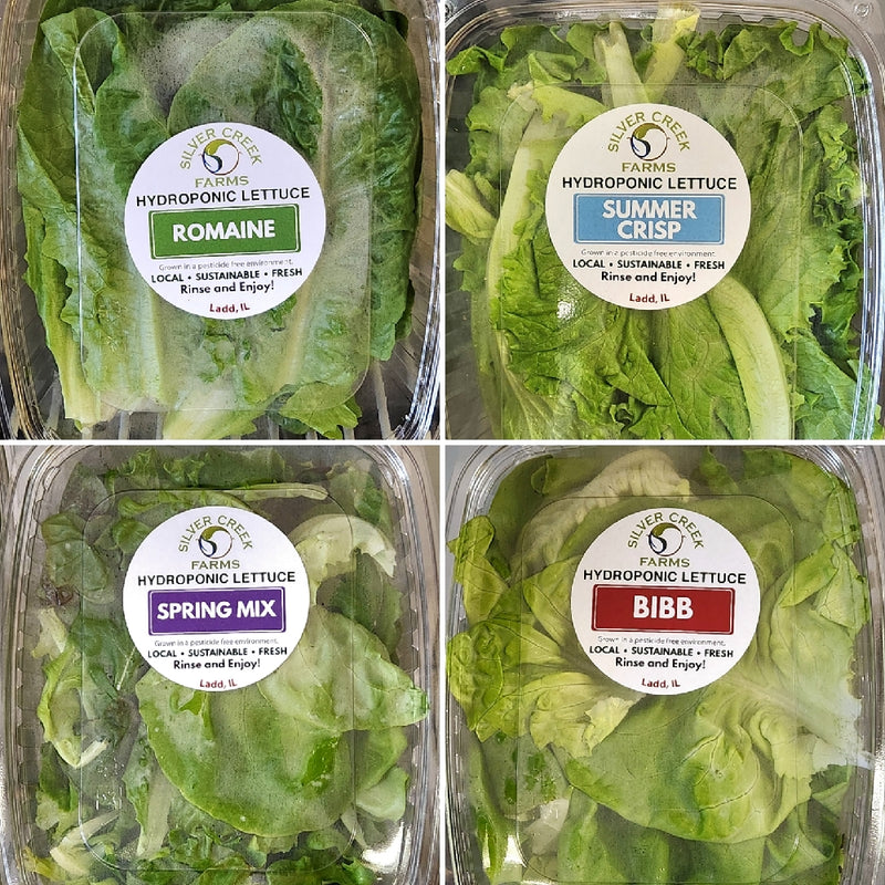 Local Hydroponic Lettuce - Grown by Silver Creek Farms in Ladd IL