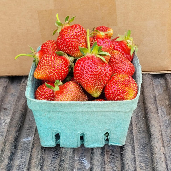 Extra CSA Box for JUNE 6, 2025 For Pickup Fri/Sat/Sun - 3/4 bushel box of fresh produce grown by us.