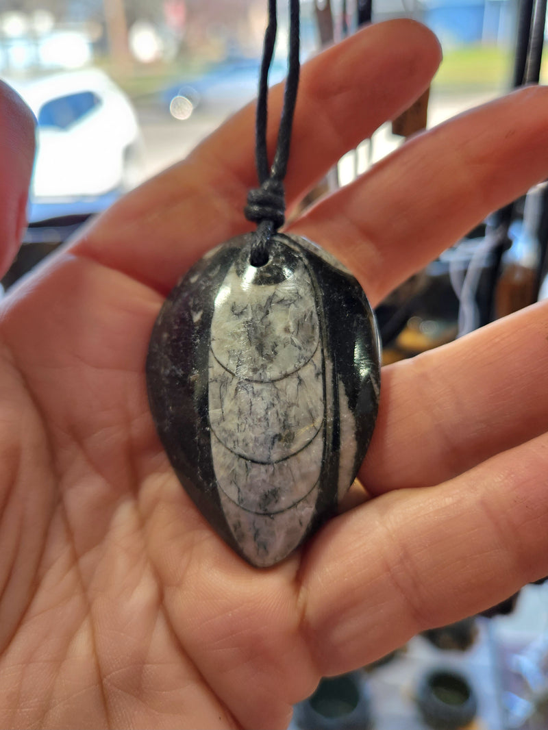 Orthoceras Fossil Necklace