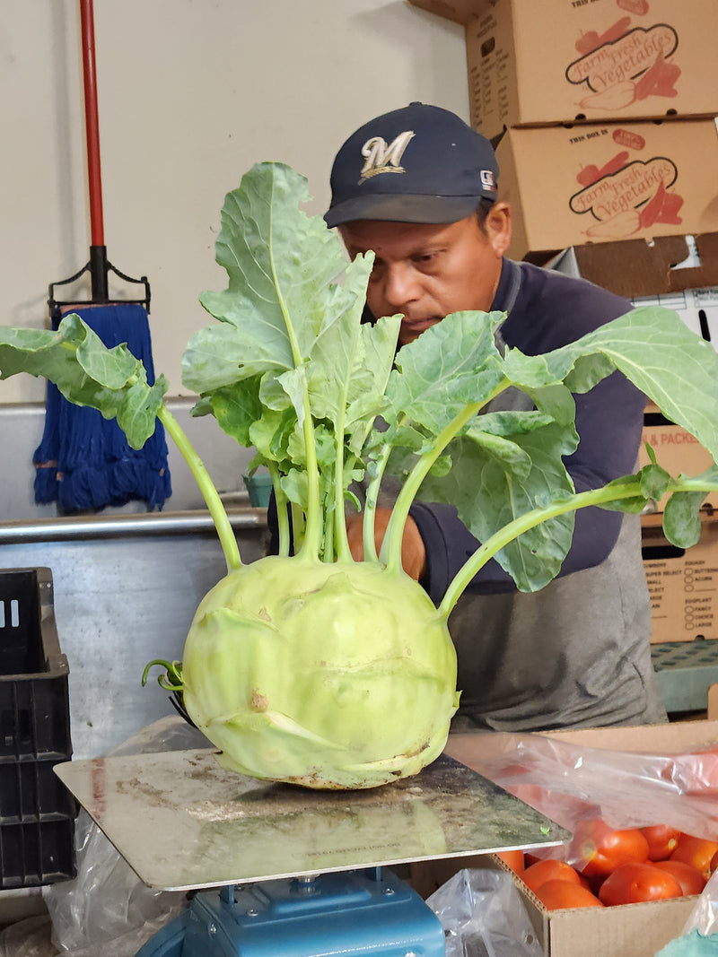 Extra CSA Box for NOV 15, 2024 For Pickup Fri/Sat/Sun - 3/4 bushel box of fresh produce grown by us.