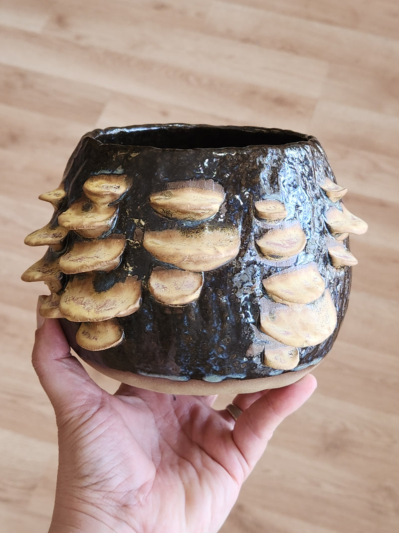 Dark Fungus Pot - handbuilt - one of a kind