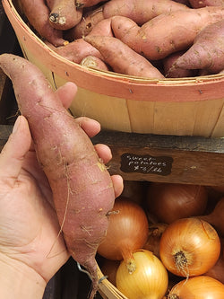 Extra CSA Box for October 11, 2024 For Pickup Fri/Sat/Sun - 3/4 bushel box of fresh produce grown by us.