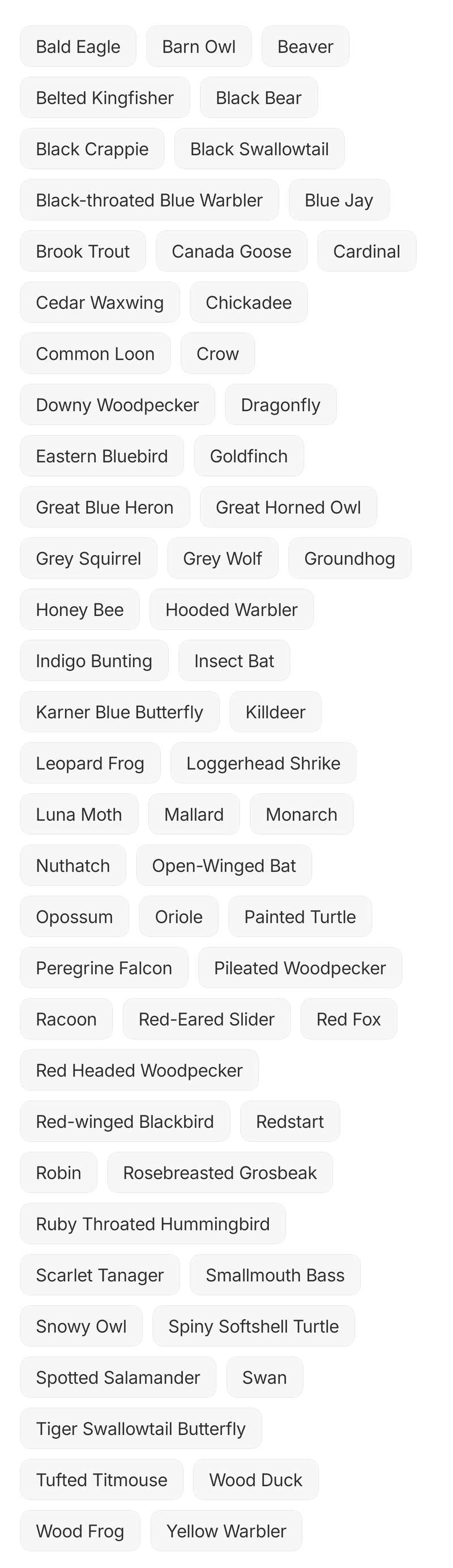 Hand-Painted - Fair Trade - Balsa Wood Ornaments - various styles, call for availability