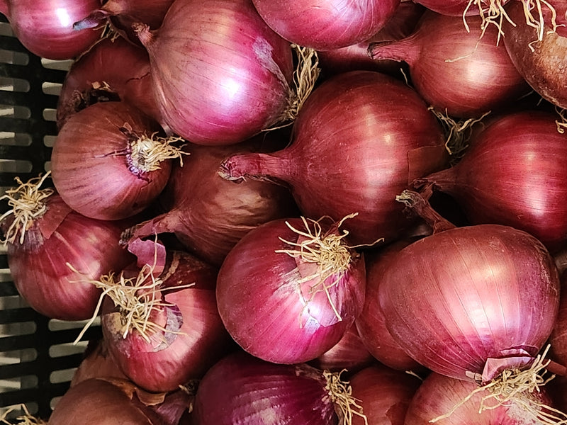 Onions - Grown by Bountiful Beloit - sold by the pound