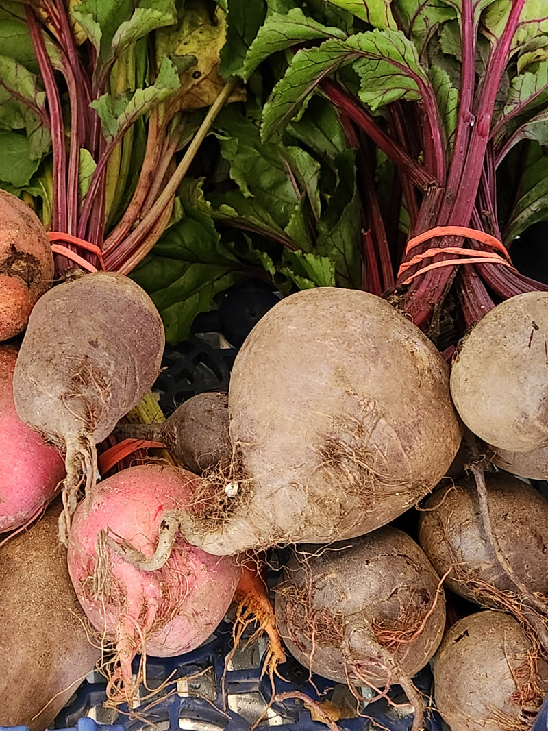 Extra CSA Box for NOV 15, 2024 For Pickup Fri/Sat/Sun - 3/4 bushel box of fresh produce grown by us.