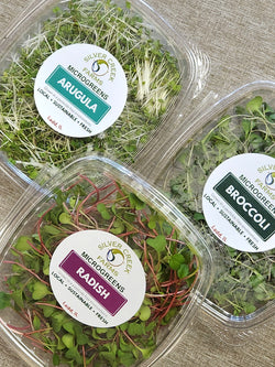 Local Hydroponic Microgreens - Grown by Silver Creek Farms in Ladd IL