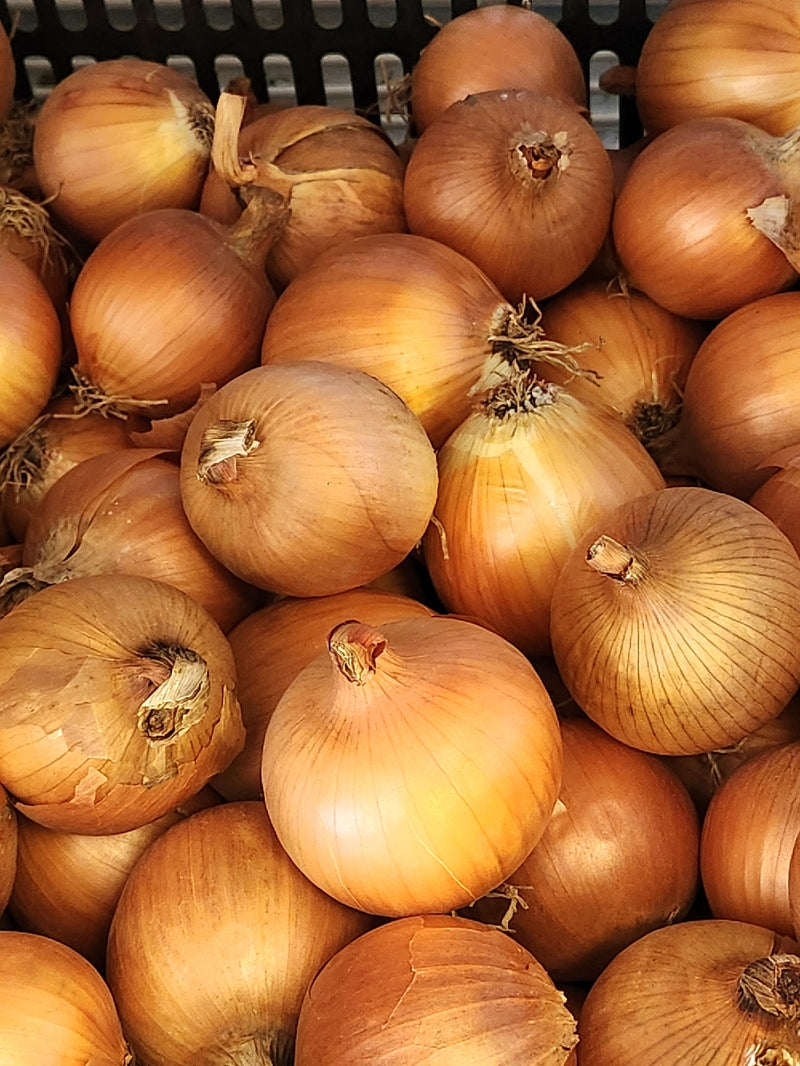 Onions - Grown by Bountiful Beloit - sold by the pound