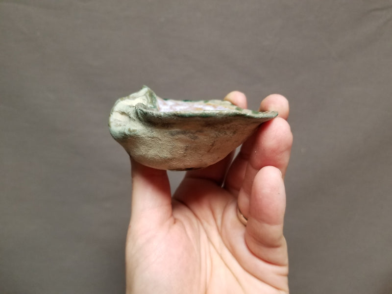 Ceramic Mussel Shell Trinket Dish