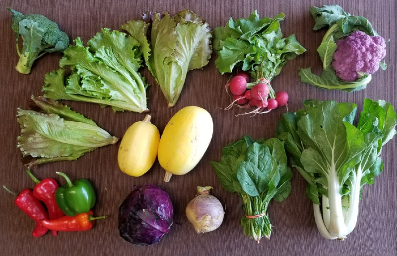 SOLD OUT - 2024 Beloit CSA Subscription - Full and Half Shares available