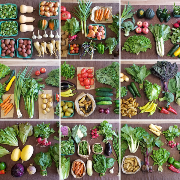 Bountiful Beloit photo 12