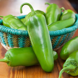 Jalapeno Hot Pepper Transplants - Single Plants