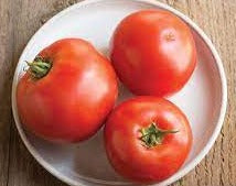 Slicing/Beefsteak Tomato Transplants - Single Plants